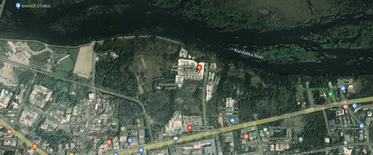 Roha Property Map